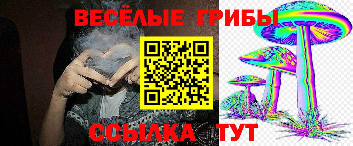 Псилоцибиновые грибы Psilocybine cubensis Тихорецк