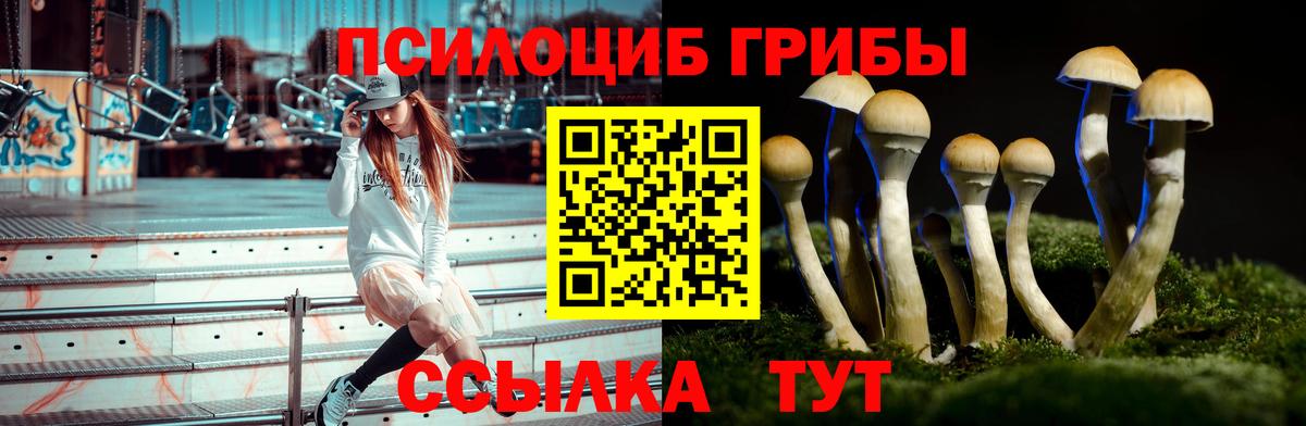 Codein  ГАШ  Тихорецк  MDMA  Мефедрон кристаллы  Вход с VPN  Меф  Марихуана 